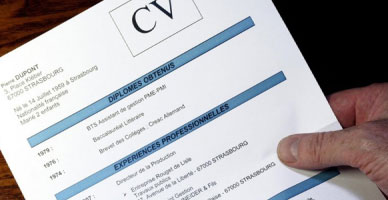 Phân loại mẫu CV theo ngôn ngữ