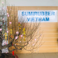 Tuyển Lập trình viên Công Ty Trách Nhiệm Hữu Hạn Sumirubber Viet Nam làm việc tại Hải Phòng thu nhập Thỏa thuận