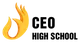 CÔNG TY CỔ PHẦN HỆ THỐNG GIÁO DỤC CEO VIỆT NAM HIGH SCHOOL