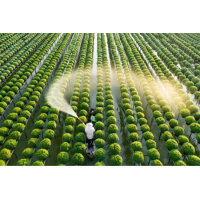 CÔNG TY TNHH TƯ VẤN VÀ THƯƠNG MẠI DỊCH VỤ NÔNG NGHIỆP NGỌC MINH