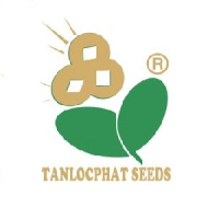 Tuyển Nhân viên kinh doanh Công Ty TNHH Hạt Giống Tân Lộc Phát làm việc tại Đắk Lắk thu nhập 15 - 25 Triệu