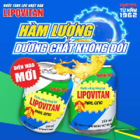 CÔNG TY TNHH TAISHO VIỆT NAM