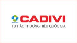 Tuyển Kế toán tổng hợp Công Ty TNHH MTV Cadivi Miền Bắc làm việc tại Bắc Ninh thu nhập Thỏa thuận