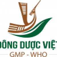 Chi Nhánh Công Ty Cổ Phần Dược Phẩm Việt (Đông Dược Việt)