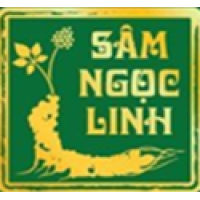 Tuyển dụng việc làm CÔNG TY CỔ PHẦN SÂM VIỆT NAM - TRÀ MY QUẢNG NAM