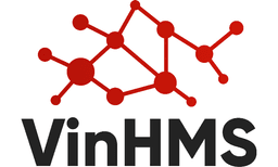 Tuyển Business Intelligence VinHMS làm việc tại Hồ Chí Minh thu nhập Thỏa thuận