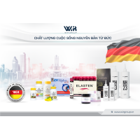 Tuyển Nhân viên Marketing Chi Nhánh - Công Ty TNHH Wir Group làm việc tại Hà Nội thu nhập 25 - 45 Triệu