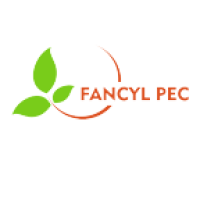 Tuyển Nhân viên kinh doanh công ty TNHH FANCYL PEC làm việc tại Hà Nội thu nhập 15 - 20 Triệu