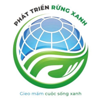 Tuyển Kế toán công nợ Công ty Cổ phần Phát triển Rừng xanh Việt Nam làm việc tại Hà Nội thu nhập 8 - 12 Triệu