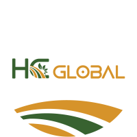 Tuyển dụng việc làm CÔNG TY TNHH THƯƠNG MẠI XUẤT NHẬP KHẨU HC GLOBAL