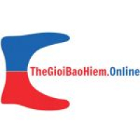 CÔNG TY CỔ PHẦN THẾ GIỚI BH ONLINE