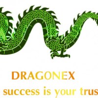 Tuyển dụng việc làm Công Ty TNHH MTV Dragonex Vietnam
