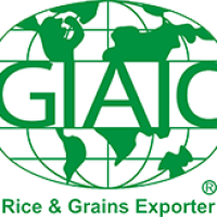 Tuyển Trưởng phòng tài chính Công Ty Cổ Phần Quốc Tế Gia làm việc tại Hồ Chí Minh thu nhập 500 - 1 USD