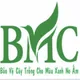 Tuyển dụng việc làm Công ty Cổ phần BMC Việt Nam