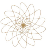 Tuyển Lập trình viên Công Ty TNHH Stack Tech làm việc tại Hồ Chí Minh thu nhập Thỏa thuận