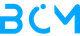 CHI NHÁNH CÔNG TY TNHH BCM VENTURE INTEGRATED