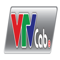 Công Ty Cổ Phần Tổng Công Ty Truyền Hình Cáp Việt Nam