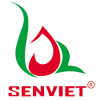 Công ty CP kỹ thuật thương mại Sen Việt