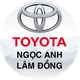 Tuyển dụng việc làm CÔNG TY TNHH TOYOTA NGỌC ANH LÂM ĐỒNG