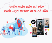Tuyển dụng việc làm Công ty TNHH Tik Meta