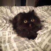 Tuyển Trình dược viên Công Ty Cổ Phần Dược Hà Tĩnh làm việc tại Hà Nội thu nhập Từ 10 Triệu