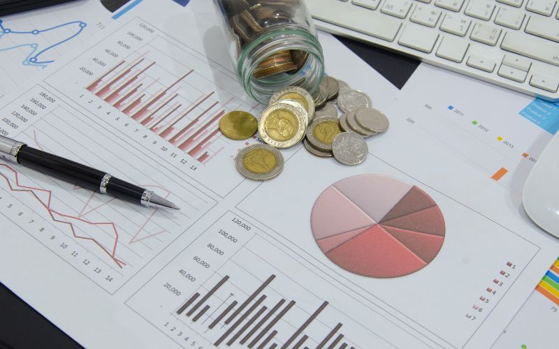 Nhân viên cần thực hiện quản lý danh mục đầu tư bằng cách theo dõi kết quả đầu tư các tài khoản