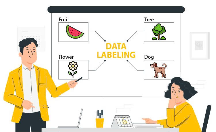 Nhu cầu tìm việc làm data labeling cũng có xu hướng tăng tại Việt Nam