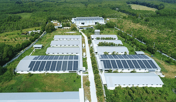 Nhu cầu tuyển việc làm kinh doanh điện mặt trời ngày càng gia tăng với mức lương hấp dẫn