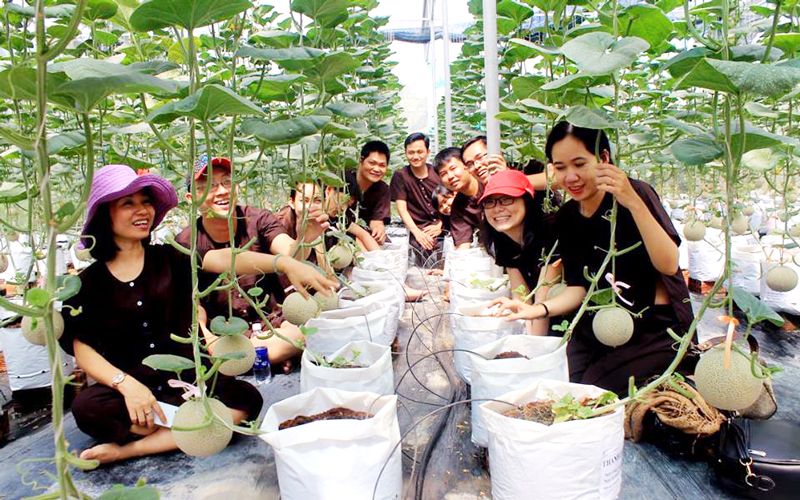 Hướng dẫn viên du lịch chuyên đề là người có kiến thức về một lĩnh vực cụ thể