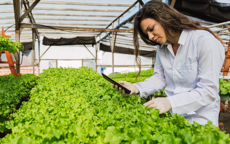 Tiềm năng và cơ hội của ngành kinh tế nông nghiệp