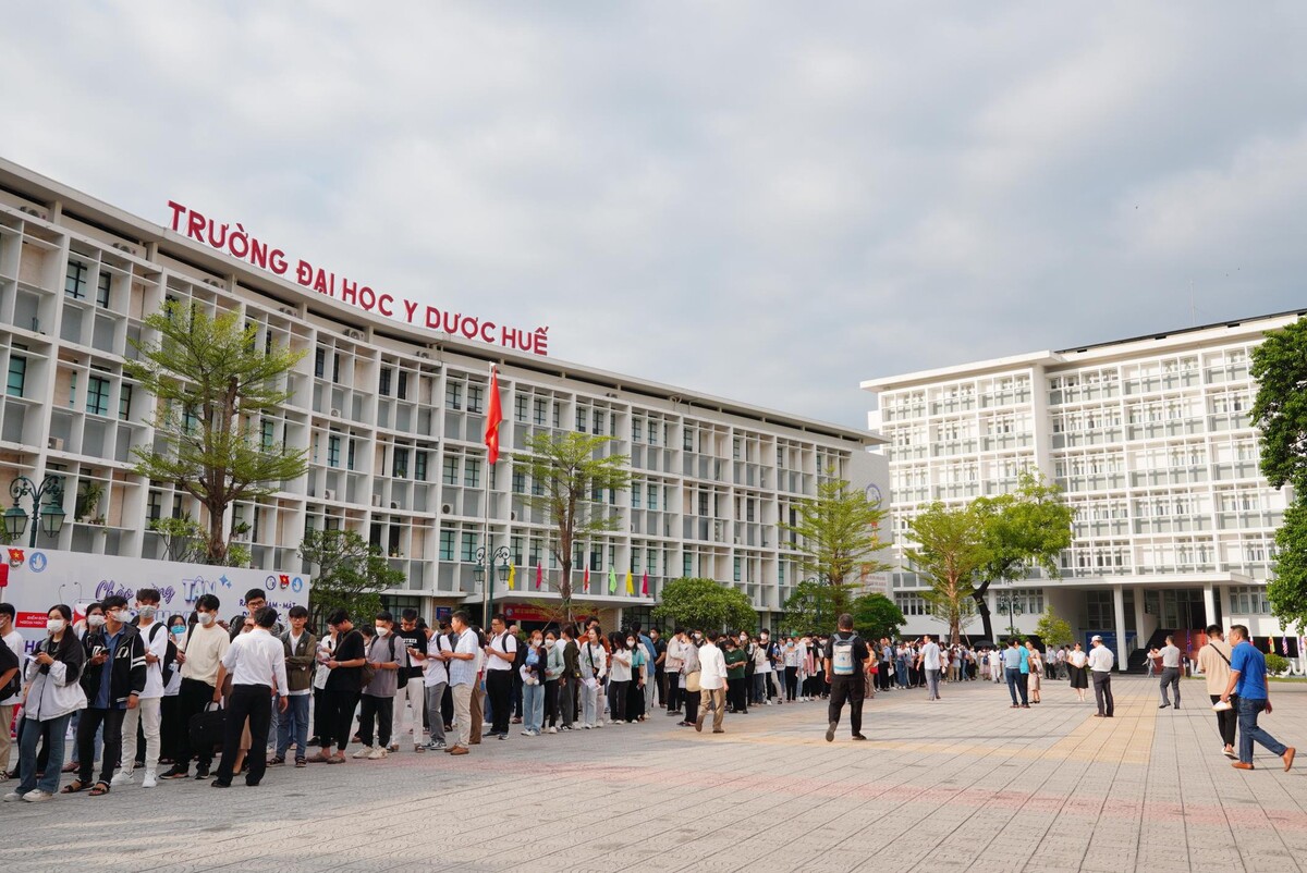 Ngành Dược học của Đại học Y Dược – Đại Học Huế, có mức học phí khoảng 48,9 triệu/năm, ngang các trường Y dược phía Nam.