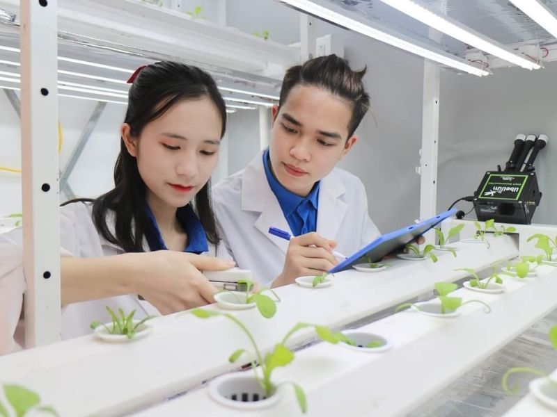 Tiềm năng và cơ hội của ngành nông nghiệp