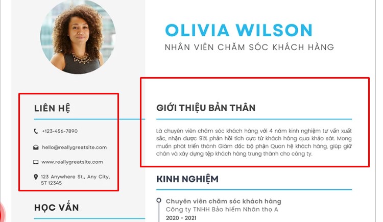 Trong mẫu CV chăm sóc khách hàng, nhiều người thường không chú trọng đến thông tin cá nhân