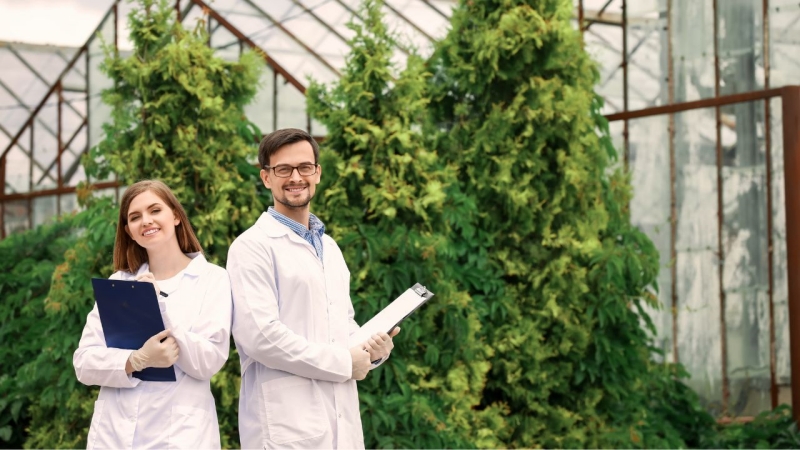 Công việc của kỹ sư lâm nghiệp khá nhiều và có tính đặc thù riêng