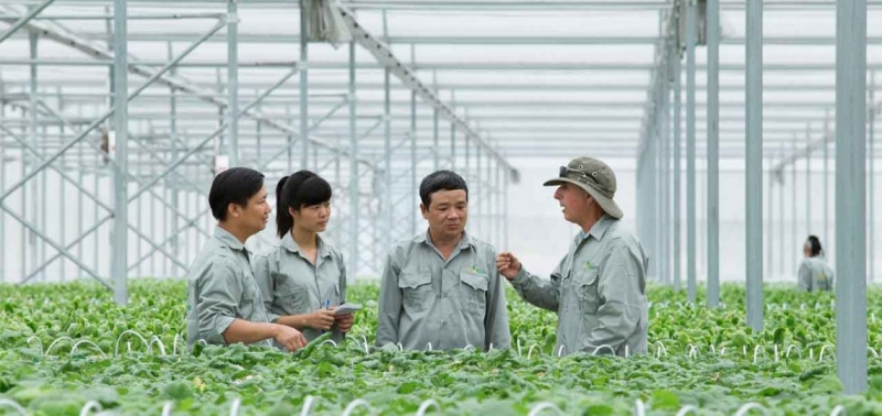 Việc làm kỹ sư lâm nghiệp phát triển ở nhiều khu vực có tính đặc thù về địa lý