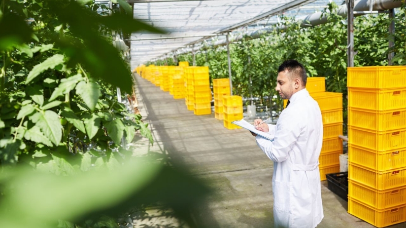 Bên cạnh niềm năng, việc làm kỹ sư lâm nghiệp cũng có nhiều thách thức, khó khăn