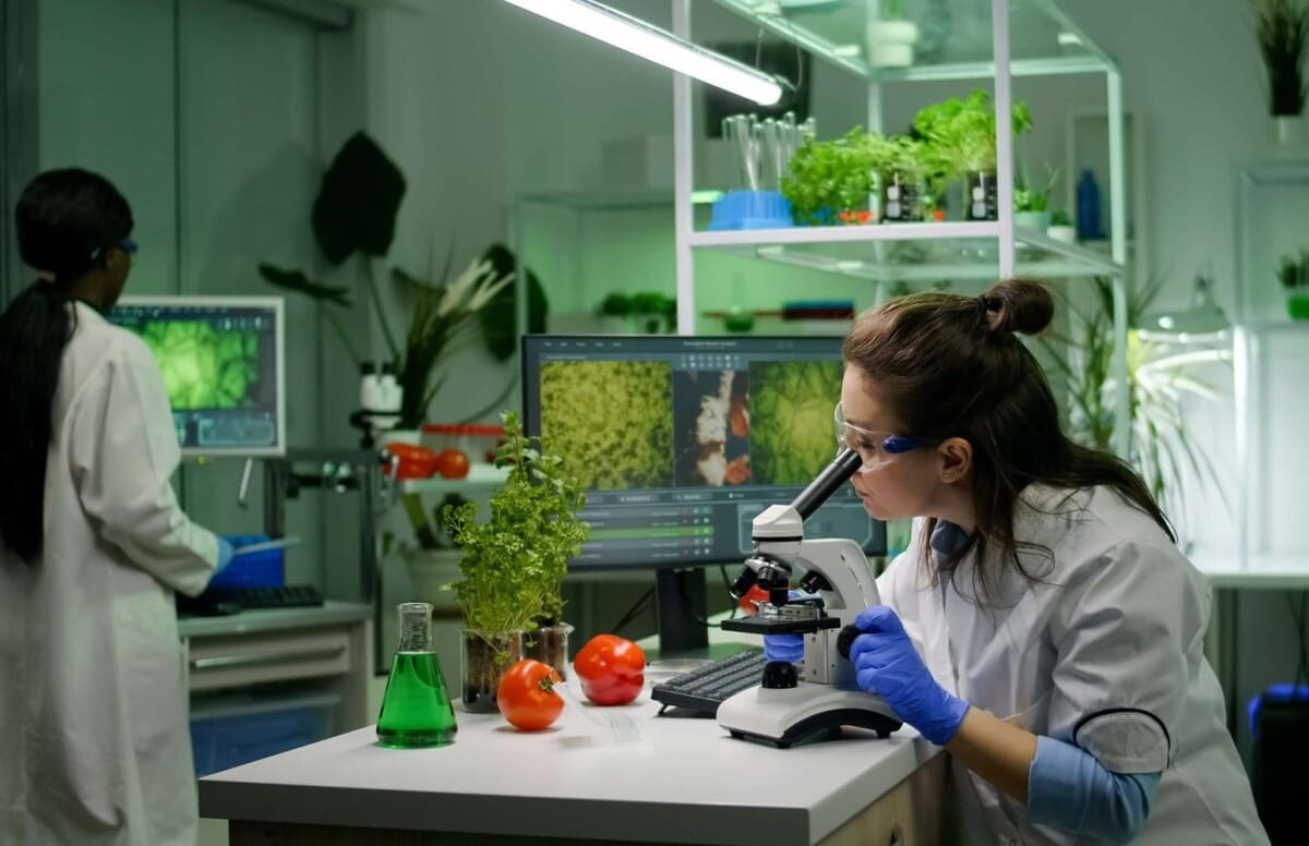 Các chuyên ngành trong ngành Khoa học Môi trường rất đa dạng và mang tính liên ngành