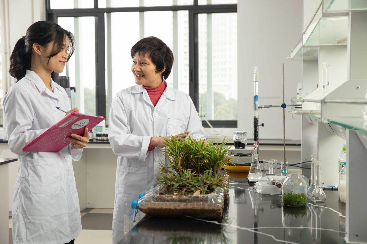 Ngành môi trường tập trung vào việc nghiên cứu và giải quyết các vấn đề liên quan đến hệ sinh thái tự nhiên