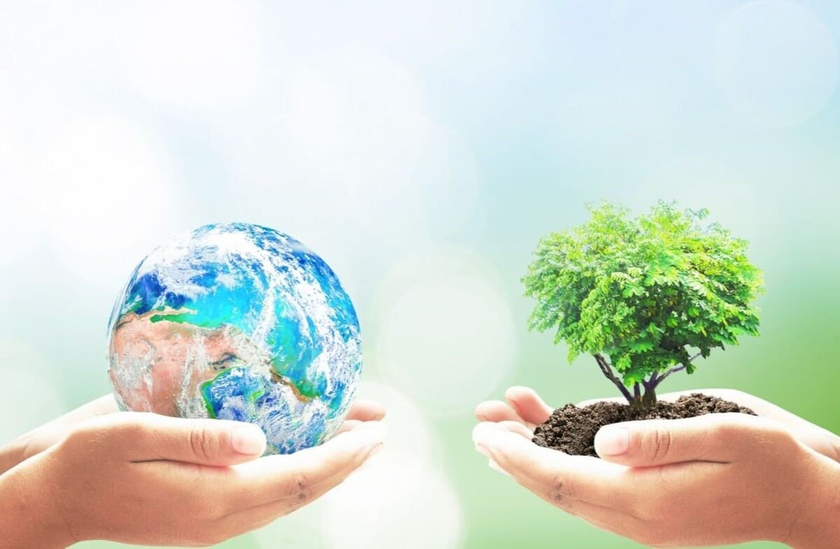 Mức lương trung bình của ngành Quản lý tài nguyên và môi trường giao động từ 8.000.000 - 20.000.0000 (VNĐ/tháng)