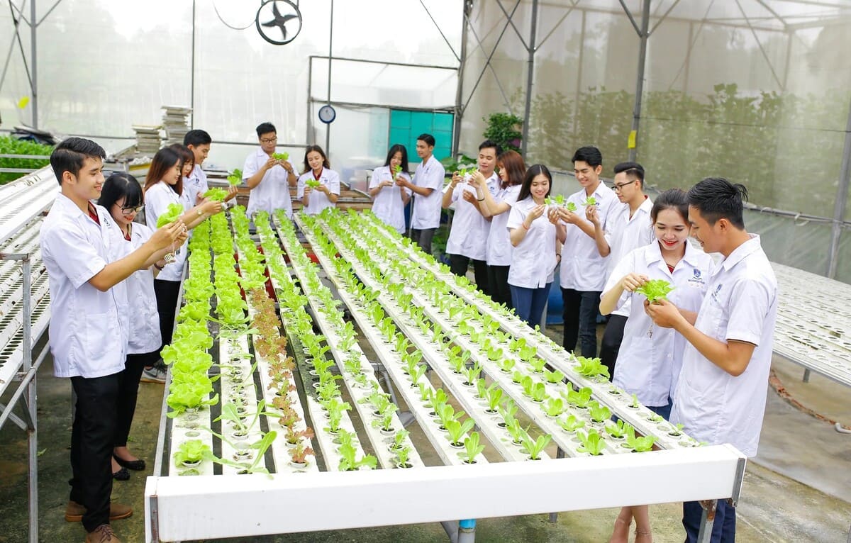 Học ngành Quản lý Tài nguyên và Môi trường sẽ mở ra nhiều cơ hội nghề nghiệp đa dạng