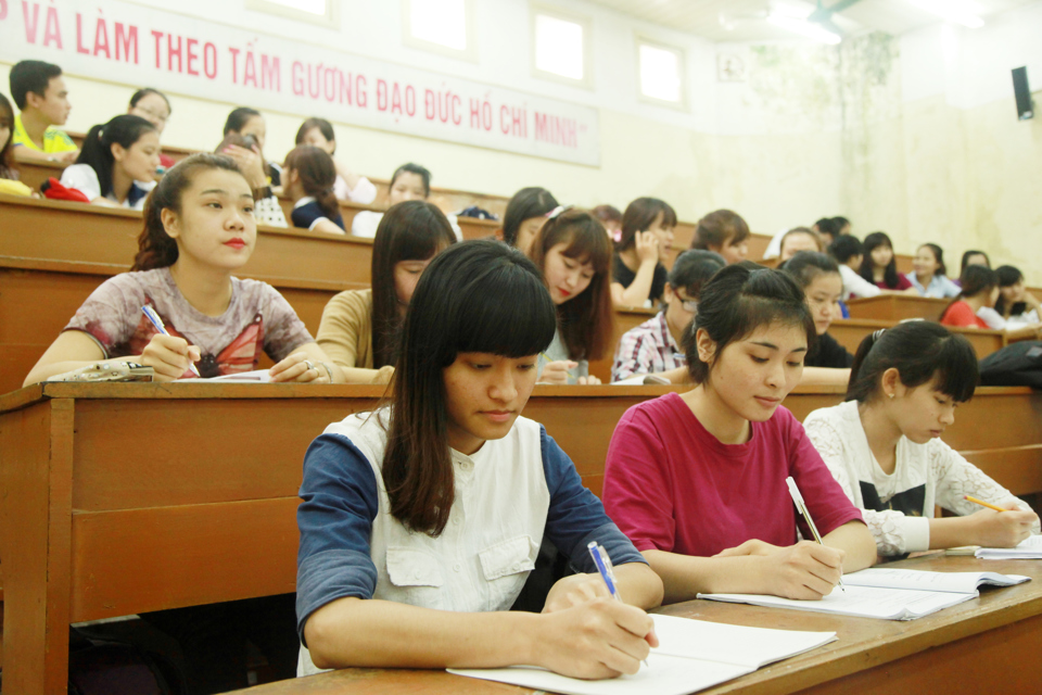 Sau khi tốt nghiệp ngành sư phạm Tiểu học, sinh viên có thể đảm nhận nhiều vị trí khác nhau trong hệ thống giáo dục Tiểu học