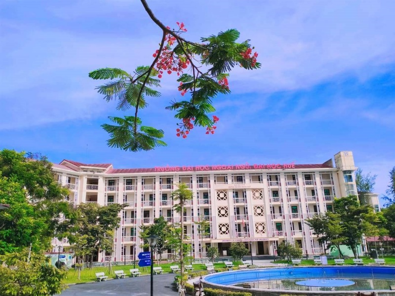 Sinh viên theo học Đại học Ngoại ngữ - Đại học Huế, được đào tạo chuyên sâu về ngôn ngữ và văn hóa Trung Quốc