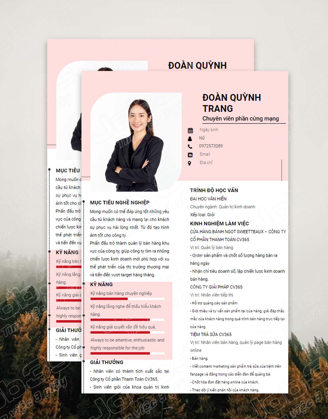 cv xin việc thực tập sinh it