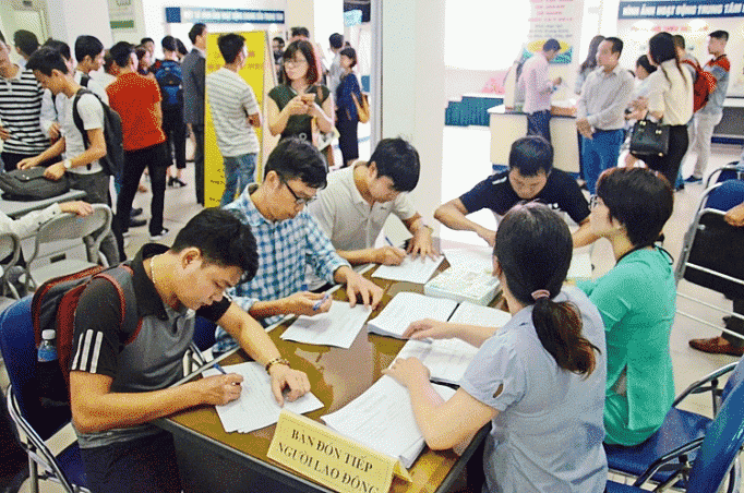 Bạn nên tìm đến trung tâm dịch vụ việc làm Vĩnh Long để tìm được các công việc uy tín