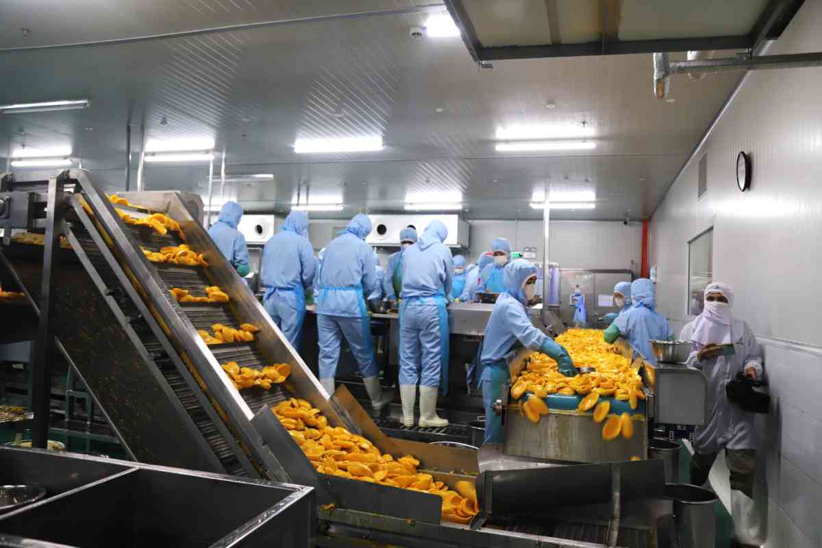 Tỉnh nỗ lực tạo điều kiện việc làm Lâm Đồng cho người lao động thuộc mọi trình độ