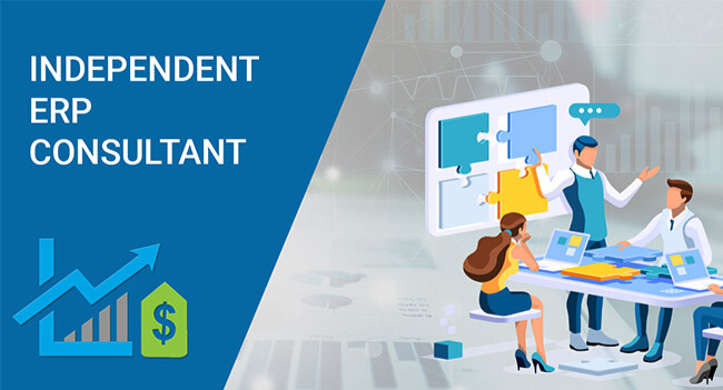 Tuyển dụng ERP consultant với nhiều vị trí đa dạng và phù hợp