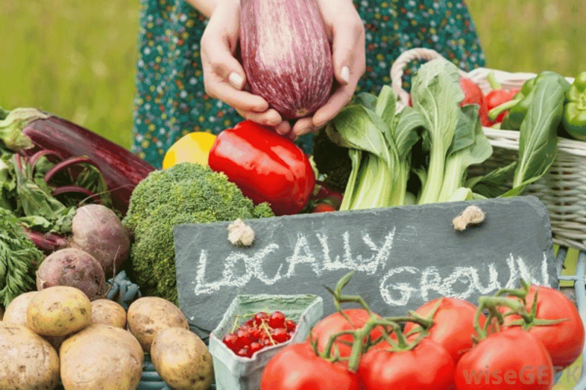 Tại Cần Thơ, tuyển dụng trưởng nhóm marketing yêu cầu phát triển hình ảnh thương hiệu gắn liền với giá trị nông sản và văn hóa địa phương