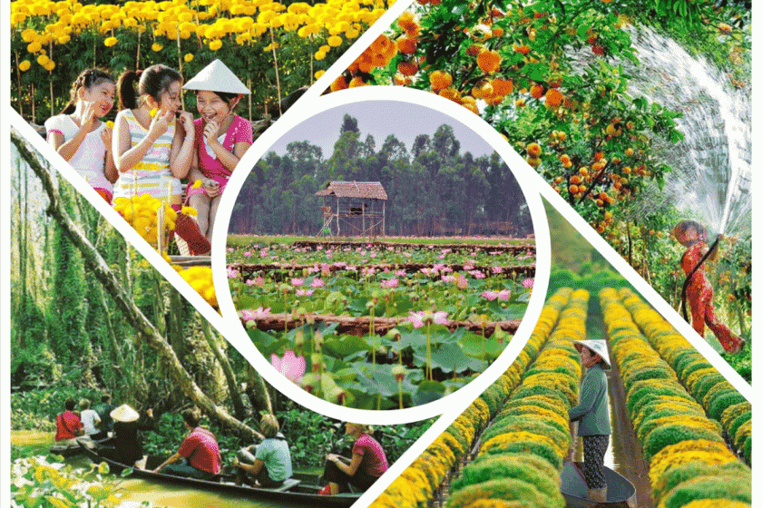 Nhu cầu tuyển dụng việc làm Đồng Tháp đang ngày càng gia tăng, mở ra nhiều cơ hội nghề nghiệp cho người lao động