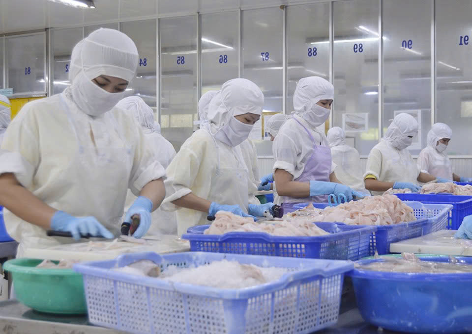 Việc làm thủy sản cũng là một việc làm tại Kiên Giang phổ biến nhất hiện nay. Điều này có thể thấy, tìm kiếm việc làm Kiên Giang trong lĩnh vực này cũng không quá khó khăn