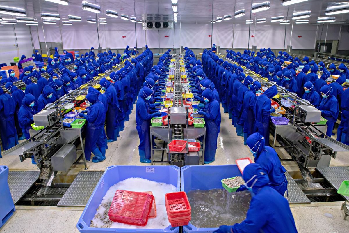 Nhu cầu việc làm tại Sóc Trăng tăng cao ở tất cả các ngành nghề